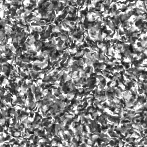 Forest 1 - Forest.png