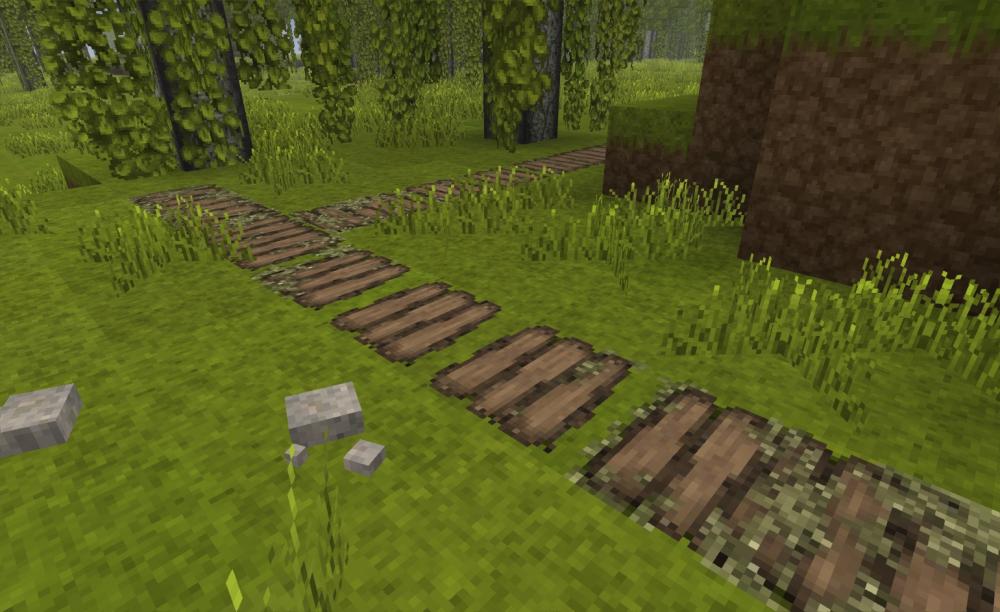 woodenpath.jpg