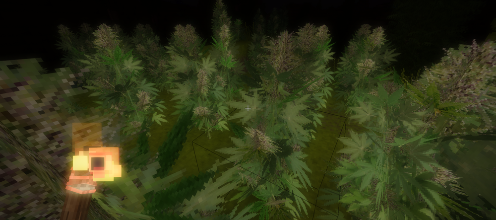 weedfarm.thumb.png.b9f49c3f9d6a8c962fedafebe2630642.png