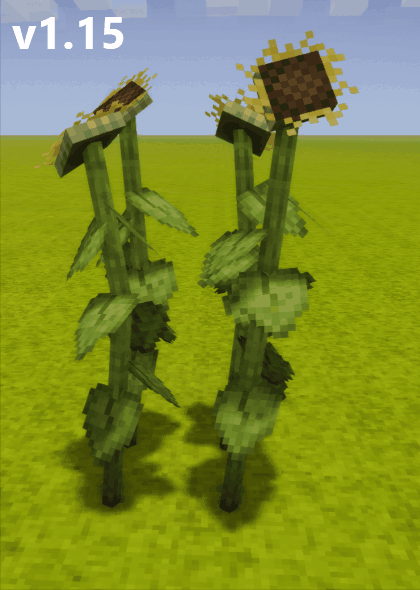 sunflower1_15.gif.8ab1ce8bd87e5565d571f91c896a8408.gif