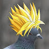 Exaltedpigeon