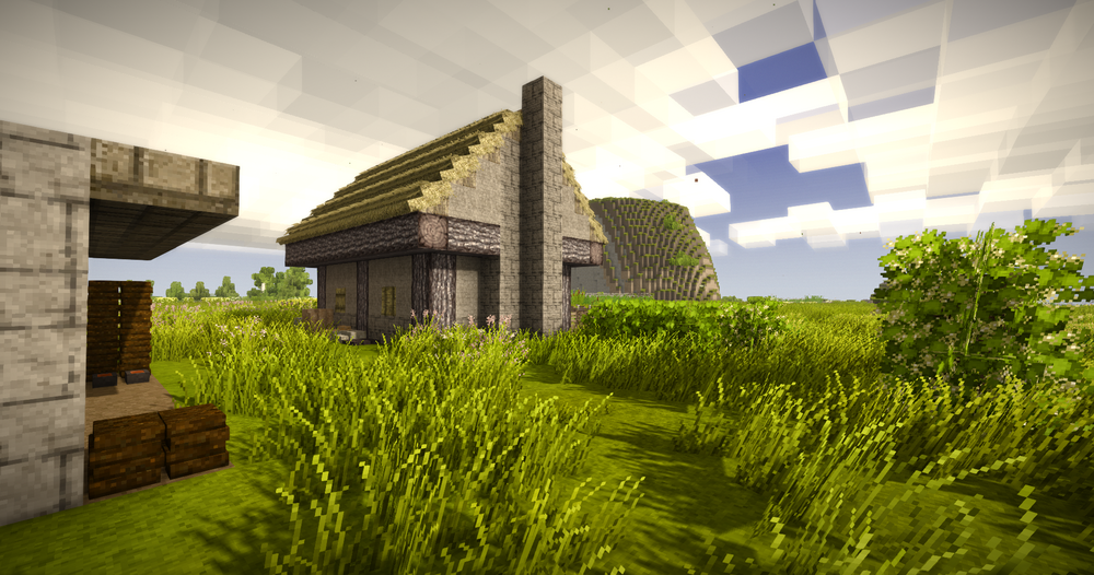 The backyard has room to improvment, maybe I'll do a berry garden