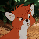 StupidFox